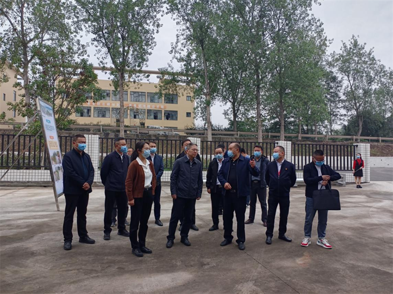 交通部调研组、省交通厅莅临公司视察养护管理工作（10 (1)